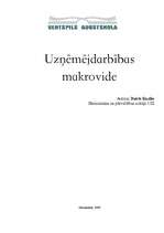 Eseja 'Uzņēmējdarbības makrovide', 7.