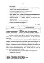 Prakses atskaite 'VAS "Hipotēku un zemes banka" Rēzeknes filiāle', 28.