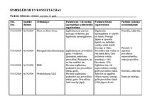 Paraugs 'Pacienta aprūpes plāns pediatrijā', 8.