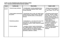 Paraugs 'Pacienta aprūpes plāns pediatrijā', 16.