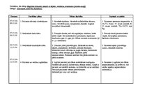 Paraugs 'Pacienta aprūpes plāns pediatrijā', 17.