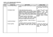 Paraugs 'Pacienta aprūpes plāns pediatrijā', 19.