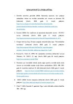 Referāts 'Ekonomiskā nevienlīdzība kā sociāla problēma mūsdienu Latvijas sabiedrībā', 13.