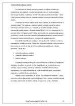 Referāts 'Nodokļu būtība, funkcijas un nodokļu politika Latvijā', 22.