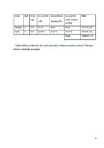 Biznesa plāns 'Biznesa nozares ķēdes izstrāde "Teksta tulkošana un ievadīšana"', 13.