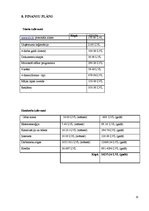 Biznesa plāns 'Biznesa nozares ķēdes izstrāde "Teksta tulkošana un ievadīšana"', 15.