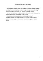 Biznesa plāns 'Biznesa nozares ķēdes izstrāde "Teksta tulkošana un ievadīšana"', 17.