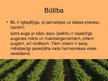 Prezentācija 'Bioloģiskā lauksaimniecība un tās perspektīvas Latvijā', 7.
