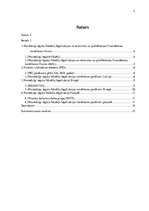 Referāts 'Noziedzīgi iegūtu līdzekļu legalizācijas novēršana', 2.