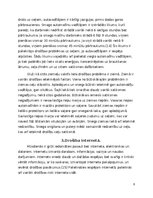 Referāts 'Drošības problēmas mūsdienās', 8.