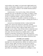 Referāts 'Drošības problēmas mūsdienās', 10.