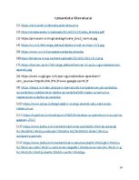 Referāts 'Drošības problēmas mūsdienās', 14.