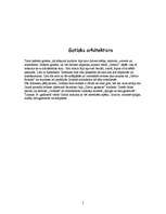 Referāts 'Gotiskais stils un tā aktualitāte jauniešu vidū', 5.