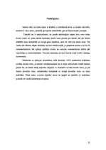 Referāts 'Veselīgs dzīves ritms, uzturs, higiēna', 25.