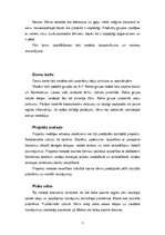 Referāts 'Sabalansēts uzturs', 7.