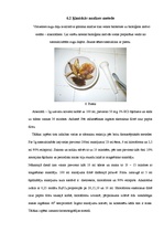 Referāts 'Bioloģiski aktīvo vielu koncentrācija Latvijas indīgajās sēnēs', 16.