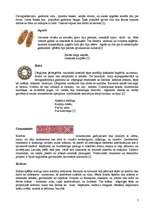 Referāts 'Latviešu nacionālais tērps', 7.