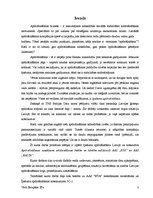 Referāts 'Apdrošināšanas zaudējumu atlīdzināšanas būtība un kārtība AAS "BTA" un AAS "Balt', 3.