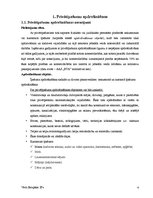 Referāts 'Apdrošināšanas zaudējumu atlīdzināšanas būtība un kārtība AAS "BTA" un AAS "Balt', 4.