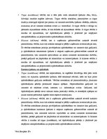 Referāts 'Apdrošināšanas zaudējumu atlīdzināšanas būtība un kārtība AAS "BTA" un AAS "Balt', 6.