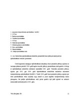 Referāts 'Apdrošināšanas zaudējumu atlīdzināšanas būtība un kārtība AAS "BTA" un AAS "Balt', 13.