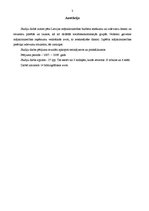 Referāts 'Mājsaimniecības budžets un tā veidošanas ietekmējošie faktori', 3.