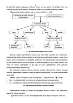Referāts 'Mājsaimniecības budžets un tā veidošanas ietekmējošie faktori', 8.
