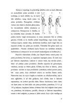 Referāts 'Piena produkti', 17.