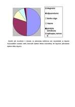 Referāts 'Autopārvadājumu izdevīguma izvērtējums kravu pārvadājumā', 17.