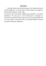 Referāts 'Autopārvadājumu izdevīguma izvērtējums kravu pārvadājumā', 24.