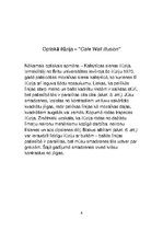 Referāts 'Optiskās ilūzijas', 8.