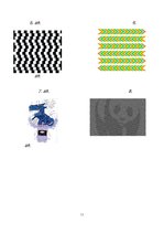 Referāts 'Optiskās ilūzijas', 11.