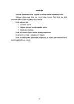 Referāts 'Magnēti un ķermeņu kustība magnētiskajā laukā', 16.