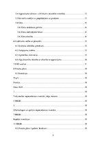 Biznesa plāns 'SIA "Umas lēcas" biznesa plāns', 4.