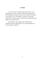 Biznesa plāns 'SIA "Umas lēcas" biznesa plāns', 6.