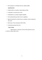 Biznesa plāns 'SIA "Umas lēcas" biznesa plāns', 9.