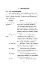 Biznesa plāns 'SIA "Umas lēcas" biznesa plāns', 11.