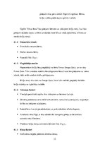 Biznesa plāns 'SIA "Umas lēcas" biznesa plāns', 12.