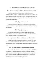 Biznesa plāns 'SIA "Umas lēcas" biznesa plāns', 15.