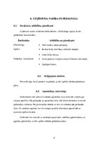 Biznesa plāns 'SIA "Umas lēcas" biznesa plāns', 17.