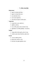 Biznesa plāns 'SIA "Umas lēcas" biznesa plāns', 19.