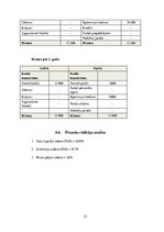 Biznesa plāns 'SIA "Umas lēcas" biznesa plāns', 23.