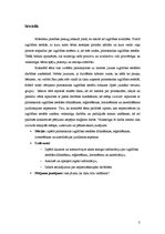 Referāts 'No idejas līdz vadīšanai', 3.