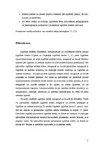 Referāts 'No idejas līdz vadīšanai', 7.