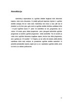 Referāts 'No idejas līdz vadīšanai', 11.