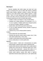 Referāts 'No idejas līdz vadīšanai', 12.