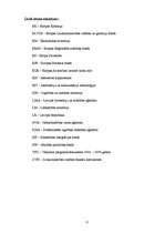 Diplomdarbs 'Eiropas Savienības struktūrfonda administrēšanas un ieviešanas sistēma Latvijā', 11.