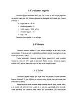 Referāts 'Carnikavas pagasta apraksts', 1.