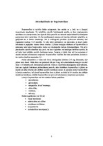 Referāts 'Ārstēšanās no opiātiem', 5.