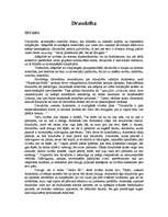 Konspekts 'Draudzības filosofija', 1.